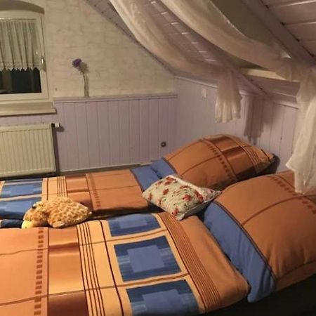 Gemuetliche 3 Raum Wohnung Im Dachgeschoss Ehrenfriedersdorf Exterior foto
